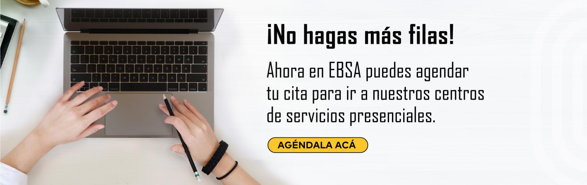  Sistema de Agendamiento Virtual
