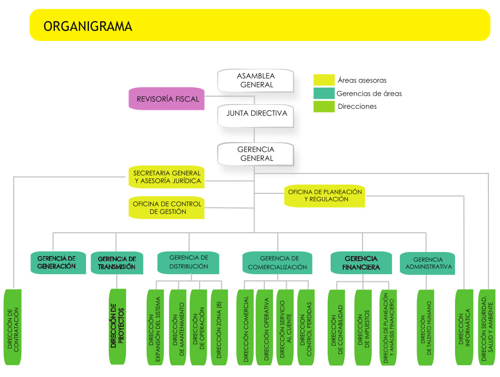 Organigrama